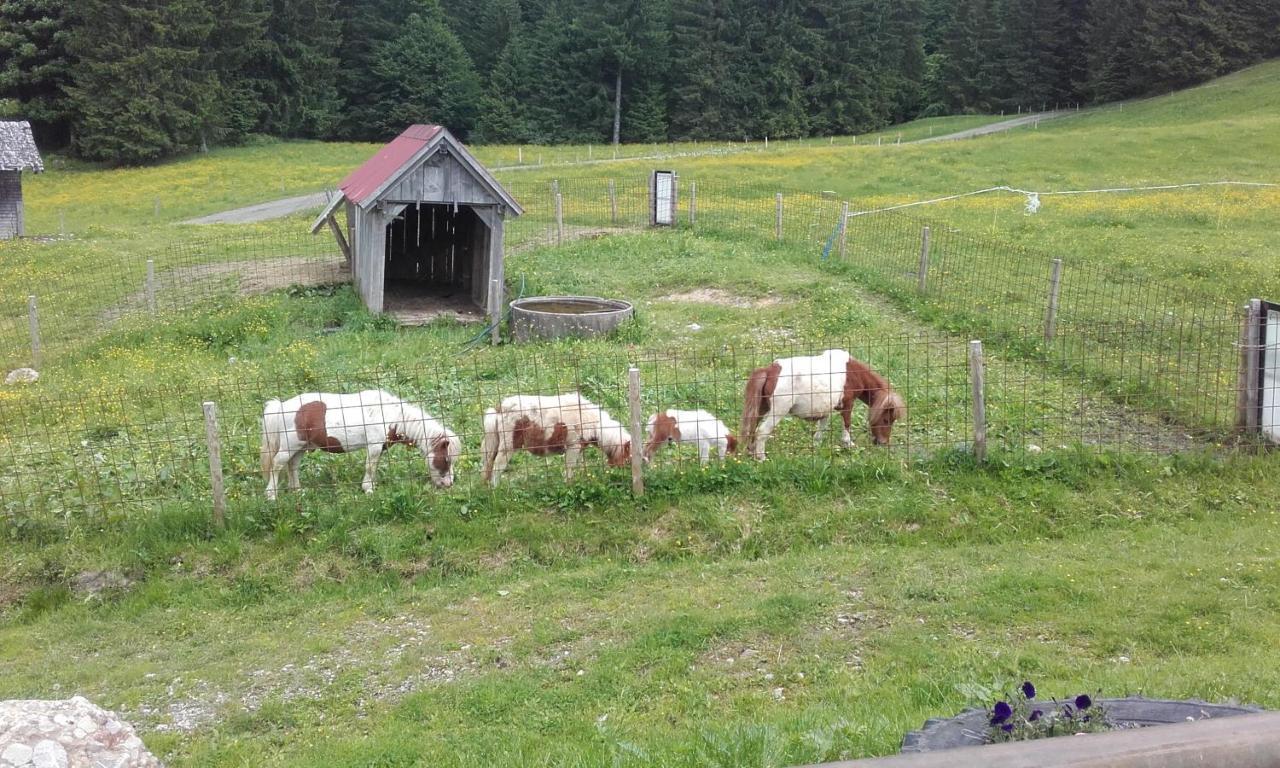 Villa Jausenstation Neuschwand Hittisau Exterior foto